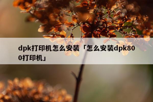 dpk打印机怎么安装「怎么安装dpk800打印机」