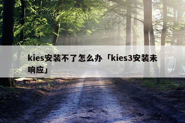 kies安装不了怎么办「kies3安装未响应」
