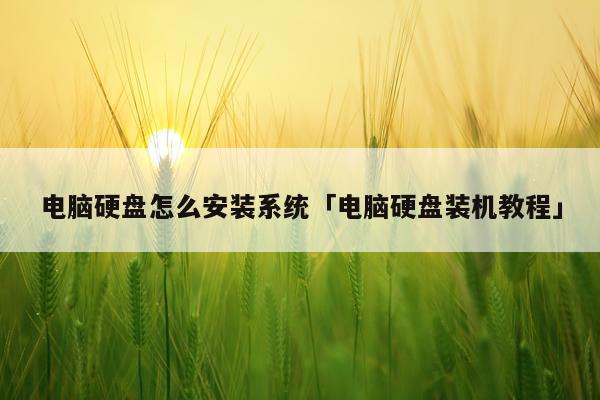 电脑硬盘怎么安装系统「电脑硬盘装机教程」
