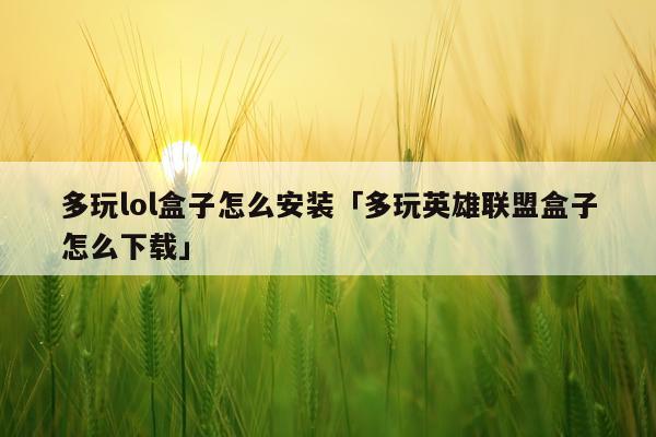 多玩lol盒子怎么安装「多玩英雄联盟盒子怎么下载」