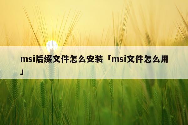 msi后缀文件怎么安装「msi文件怎么用」