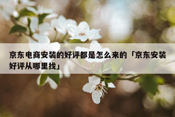 京东电商安装的好评都是怎么来的「京东安装好评从哪里找」