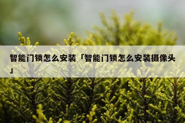 智能门锁怎么安装「智能门锁怎么安装摄像头」