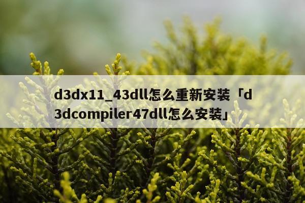 d3dx11_43dll怎么重新安装「d3dcompiler47dll怎么安装」