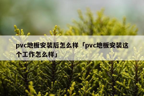 pvc地板安装后怎么样「pvc地板安装这个工作怎么样」