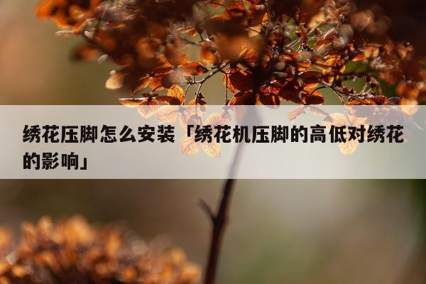 绣花压脚怎么安装「绣花机压脚的高低对绣花的影响」