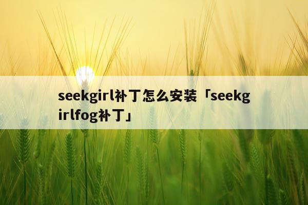 seekgirl补丁怎么安装「seekgirlfog补丁」