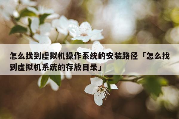 怎么找到虚拟机操作系统的安装路径「怎么找到虚拟机系统的存放目录」