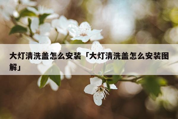 大灯清洗盖怎么安装「大灯清洗盖怎么安装图解」
