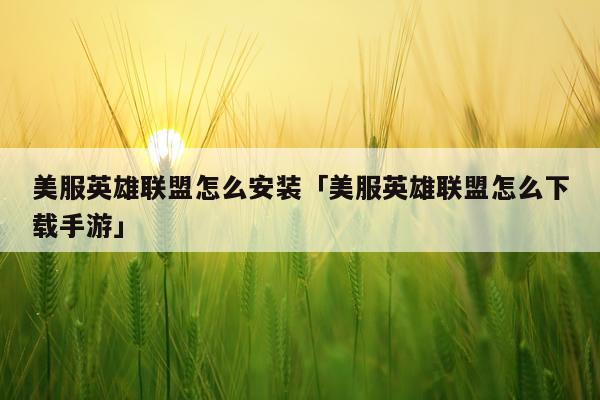 美服英雄联盟怎么安装「美服英雄联盟怎么下载手游」