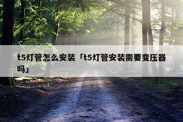 t5灯管怎么安装「t5灯管安装需要变压器吗」