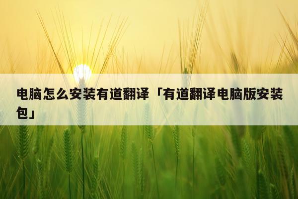 电脑怎么安装有道翻译「有道翻译电脑版安装包」