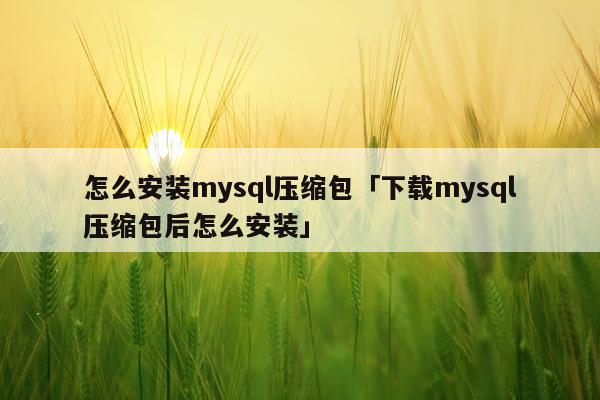 怎么安装mysql压缩包「下载mysql压缩包后怎么安装」