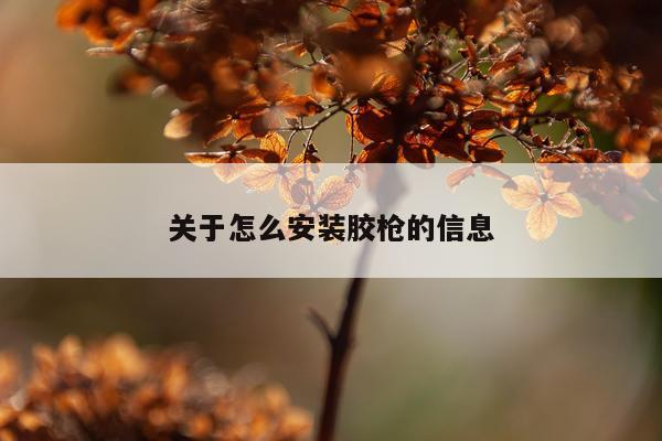 关于怎么安装胶枪的信息