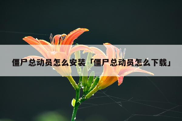 僵尸总动员怎么安装「僵尸总动员怎么下载」