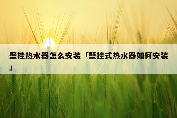 壁挂热水器怎么安装「壁挂式热水器如何安装」