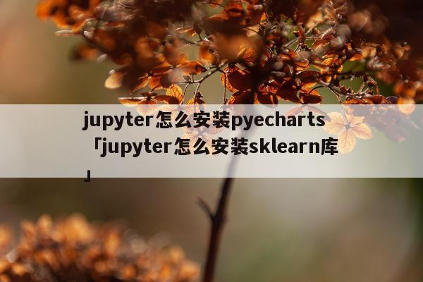 jupyter怎么安装pyecharts「jupyter怎么安装sklearn库」