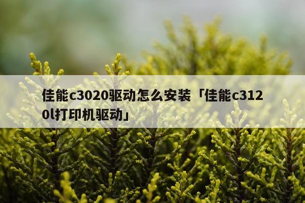 佳能c3020驱动怎么安装「佳能c3120l打印机驱动」