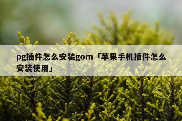pg插件怎么安装gom「苹果手机插件怎么安装使用」