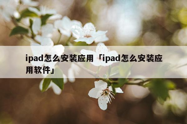 ipad怎么安装应用「ipad怎么安装应用软件」