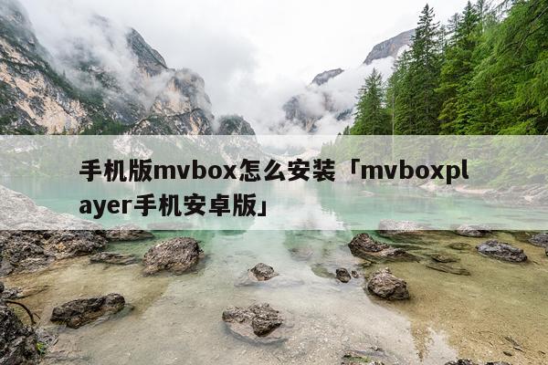 手机版mvbox怎么安装「mvboxplayer手机安卓版」