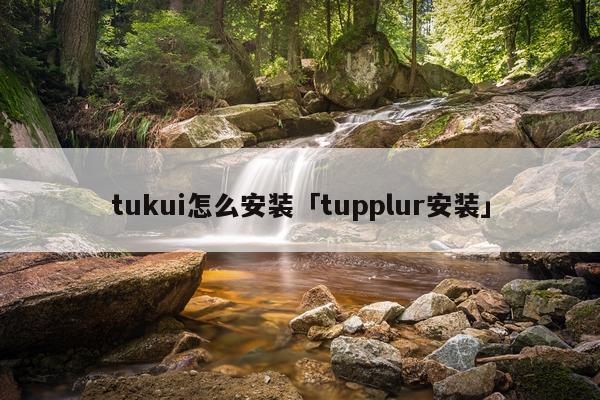 tukui怎么安装「tupplur安装」