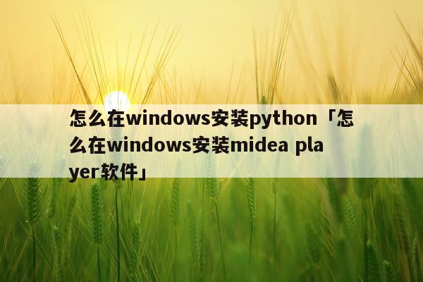怎么在windows安装python「怎么在windows安装midea player软件」