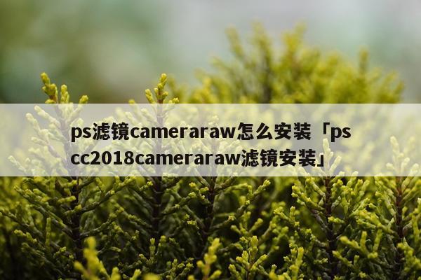 ps滤镜cameraraw怎么安装「pscc2018cameraraw滤镜安装」