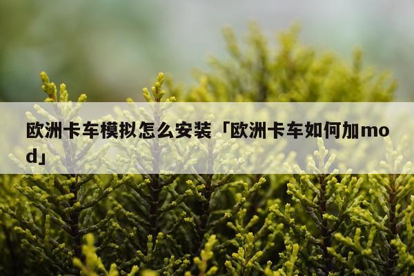 欧洲卡车模拟怎么安装「欧洲卡车如何加mod」