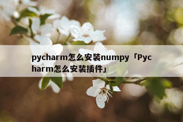 pycharm怎么安装numpy「Pycharm怎么安装插件」