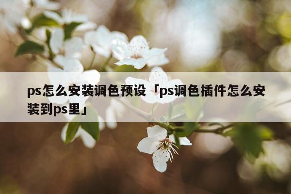 ps怎么安装调色预设「ps调色插件怎么安装到ps里」