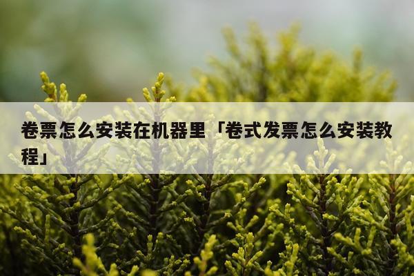 卷票怎么安装在机器里「卷式发票怎么安装教程」