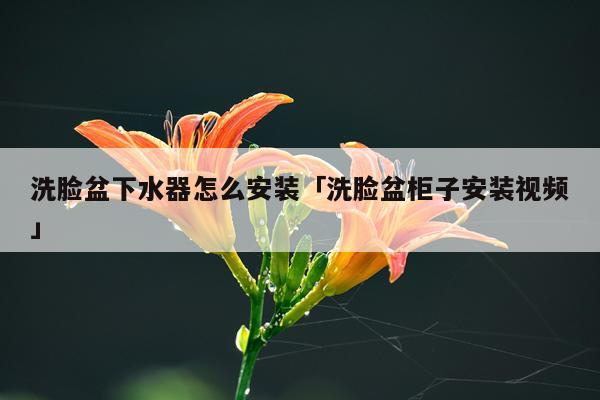 洗脸盆下水器怎么安装「洗脸盆柜子安装视频」