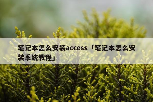 笔记本怎么安装access「笔记本怎么安装系统教程」