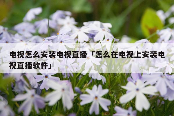 电视怎么安装电视直播「怎么在电视上安装电视直播软件」