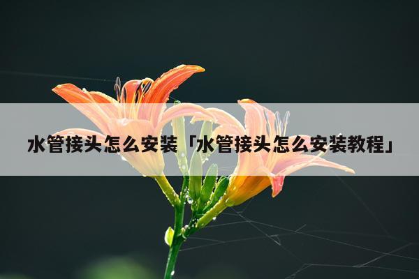 水管接头怎么安装「水管接头怎么安装教程」