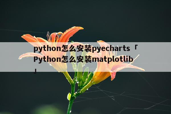 python怎么安装pyecharts「Python怎么安装matplotlib」