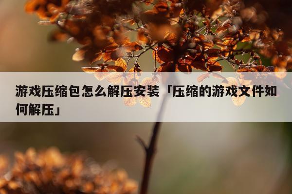 游戏压缩包怎么解压安装「压缩的游戏文件如何解压」