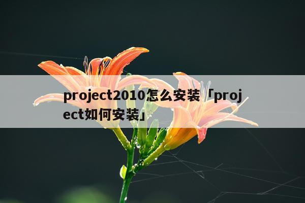 project2010怎么安装「project如何安装」