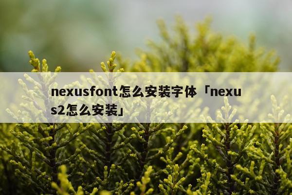 nexusfont怎么安装字体「nexus2怎么安装」
