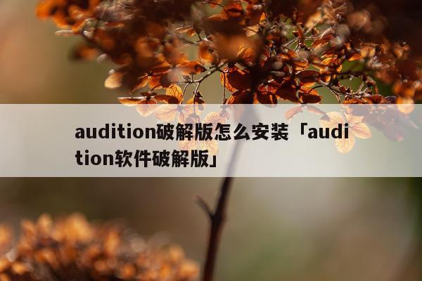 audition破解版怎么安装「audition软件破解版」