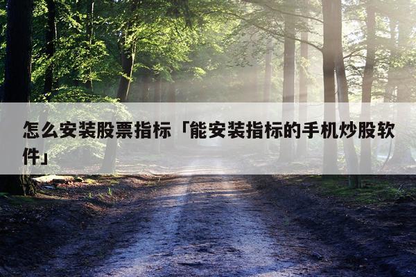 怎么安装股票指标「能安装指标的手机炒股软件」