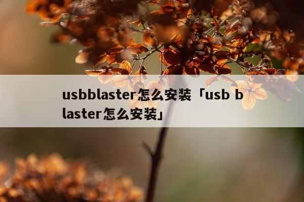 usbblaster怎么安装「usb blaster怎么安装」