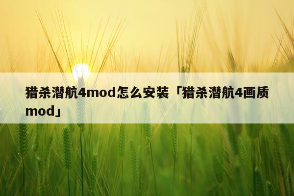 猎杀潜航4mod怎么安装「猎杀潜航4画质mod」