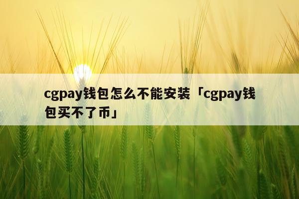 cgpay钱包怎么不能安装「cgpay钱包买不了币」