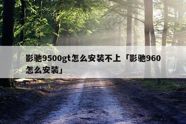 影驰9500gt怎么安装不上「影驰960怎么安装」