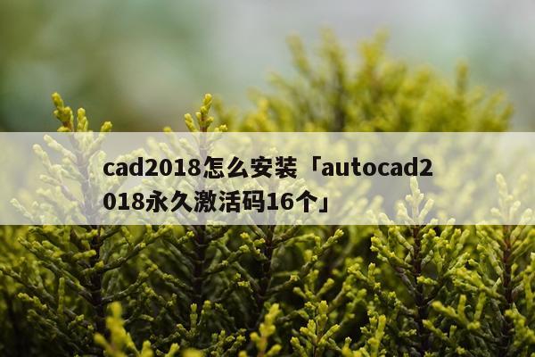 cad2018怎么安装「autocad2018永久激活码16个」