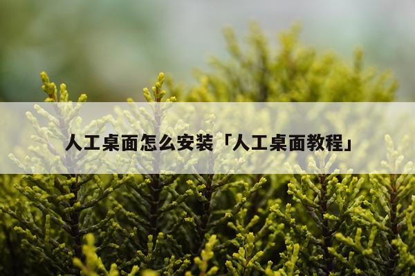 人工桌面怎么安装「人工桌面教程」