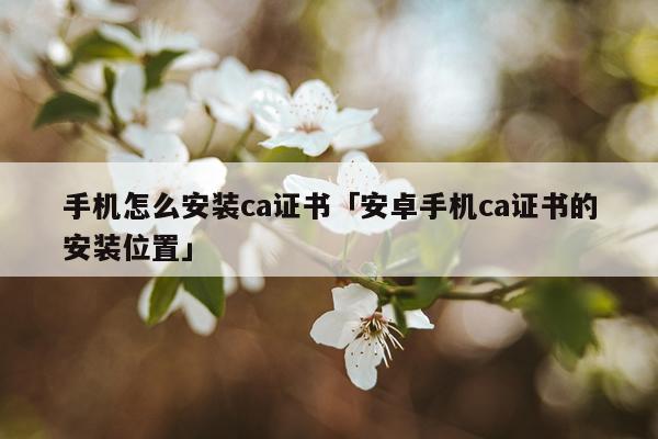 手机怎么安装ca证书「安卓手机ca证书的安装位置」