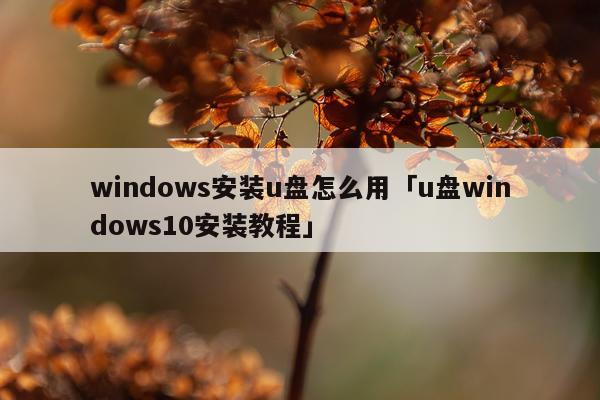 windows安装u盘怎么用「u盘windows10安装教程」